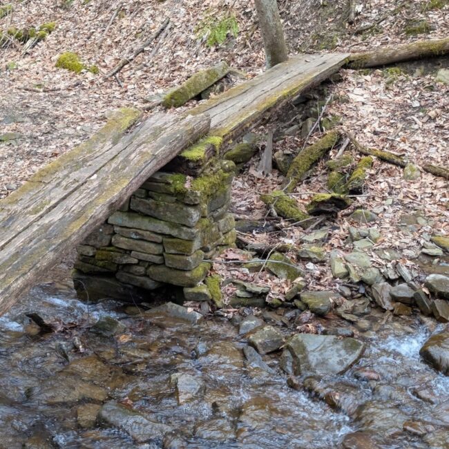 An image of a wooden bridge on the Laurel Highlands Hiking Trail.