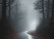 Blue Mist Road